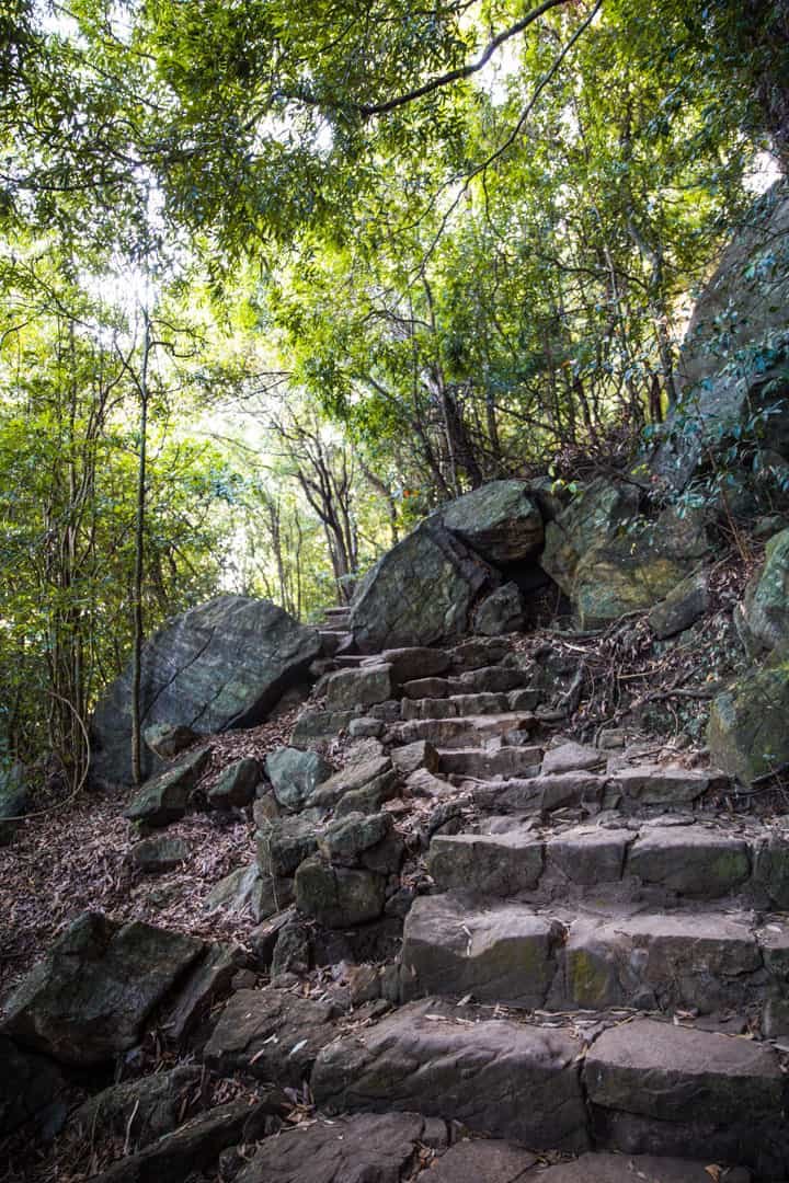 pidurangala rock sunrise